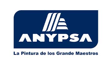 CLIENTE ANYPSA DINAMO SOLUTIONS